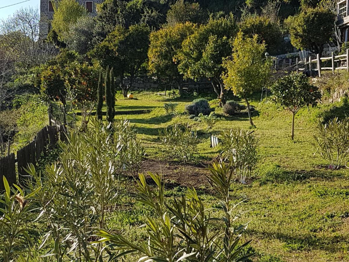 La Villa Guidi Pila-Canale Exterior foto